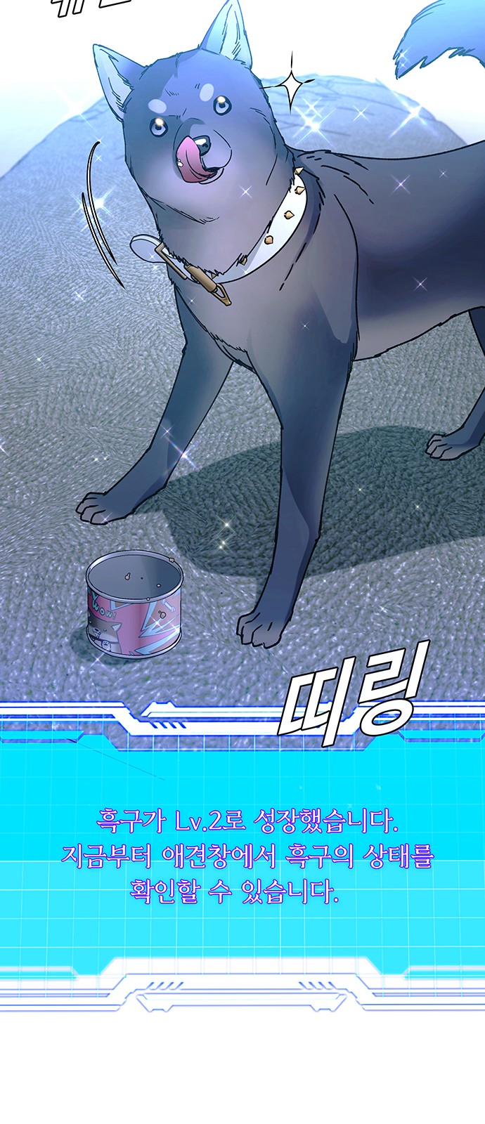 63 페이지