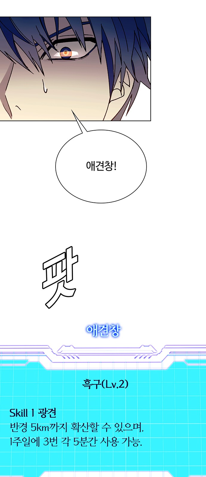 66 페이지