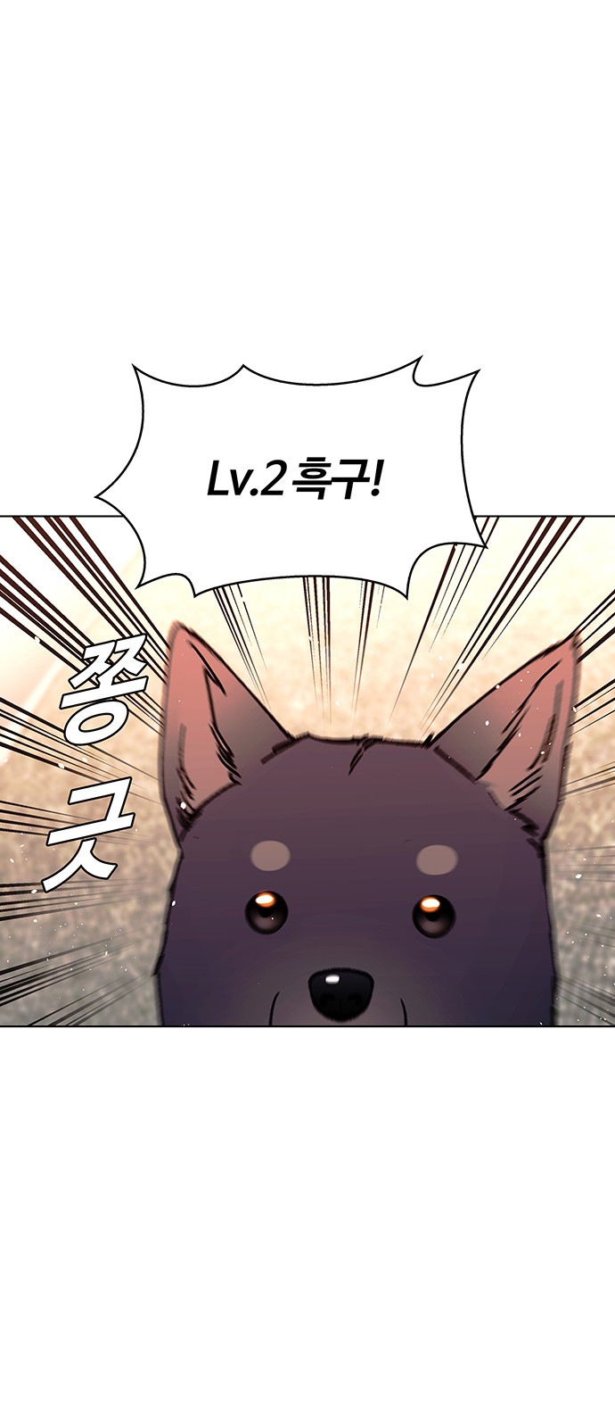 70 페이지