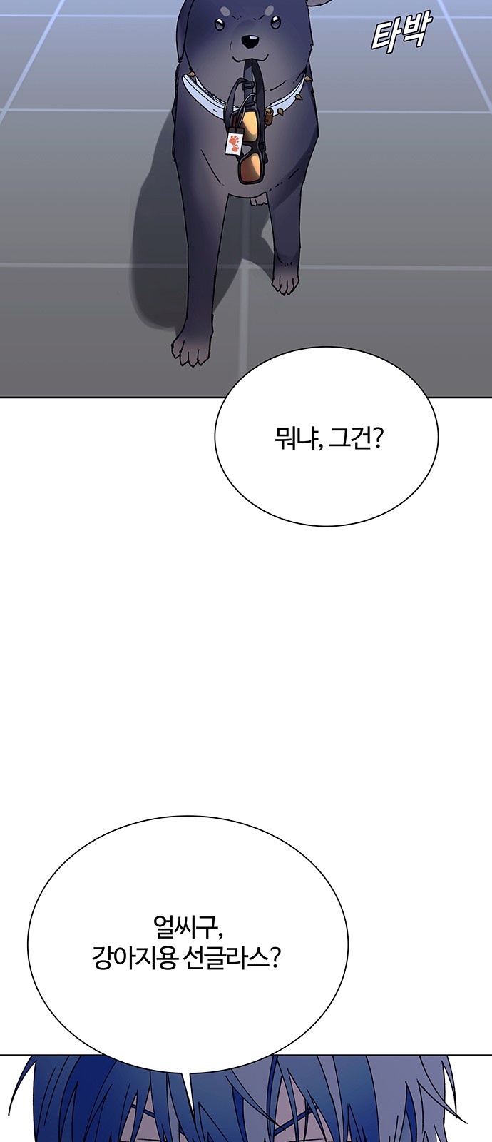 41 페이지