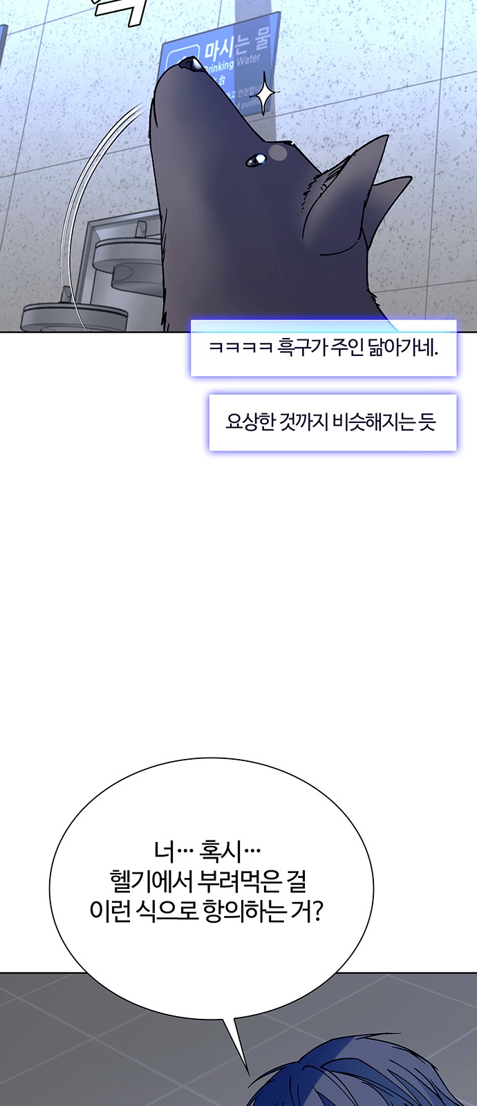 43 페이지