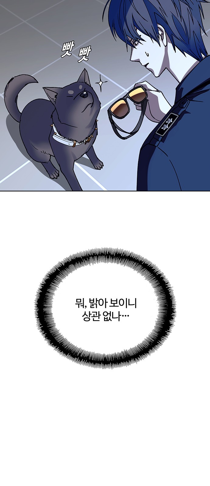 44 페이지