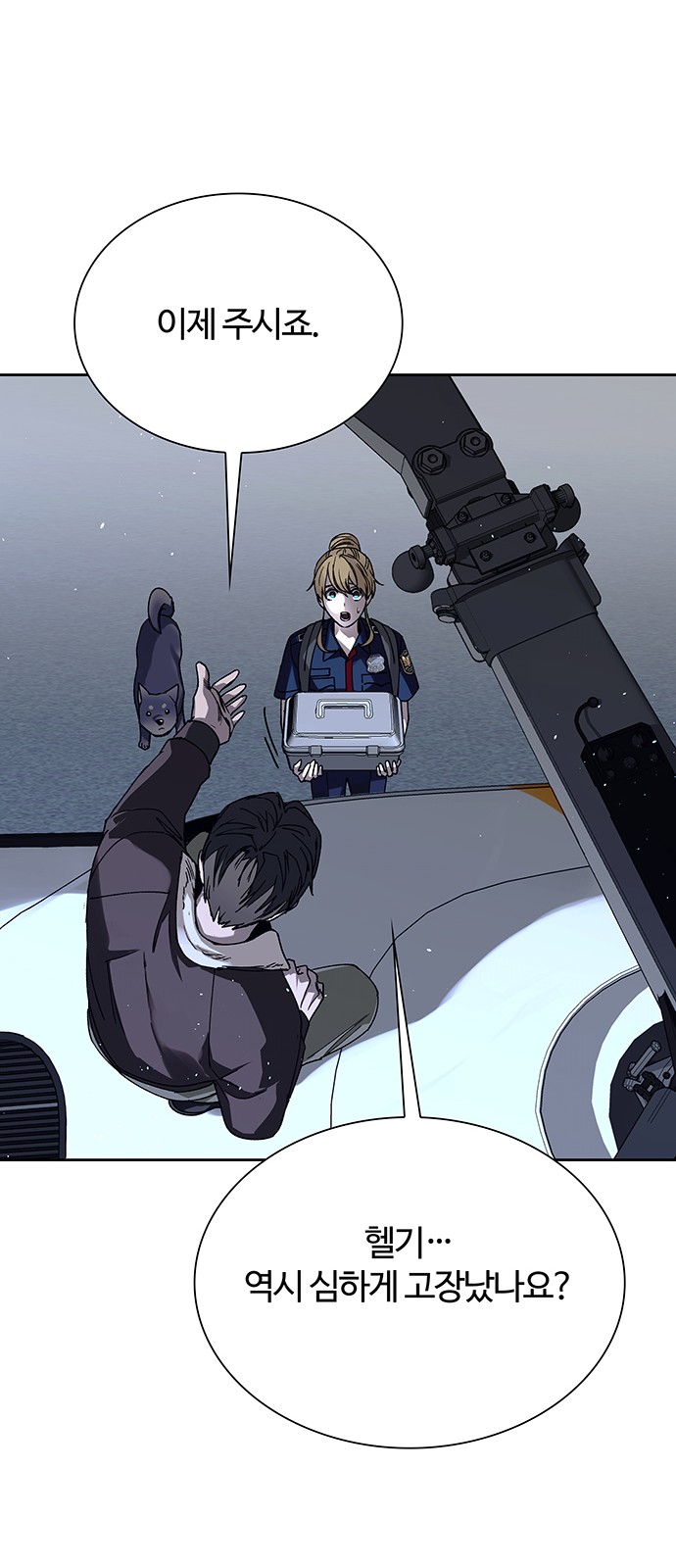 17 페이지