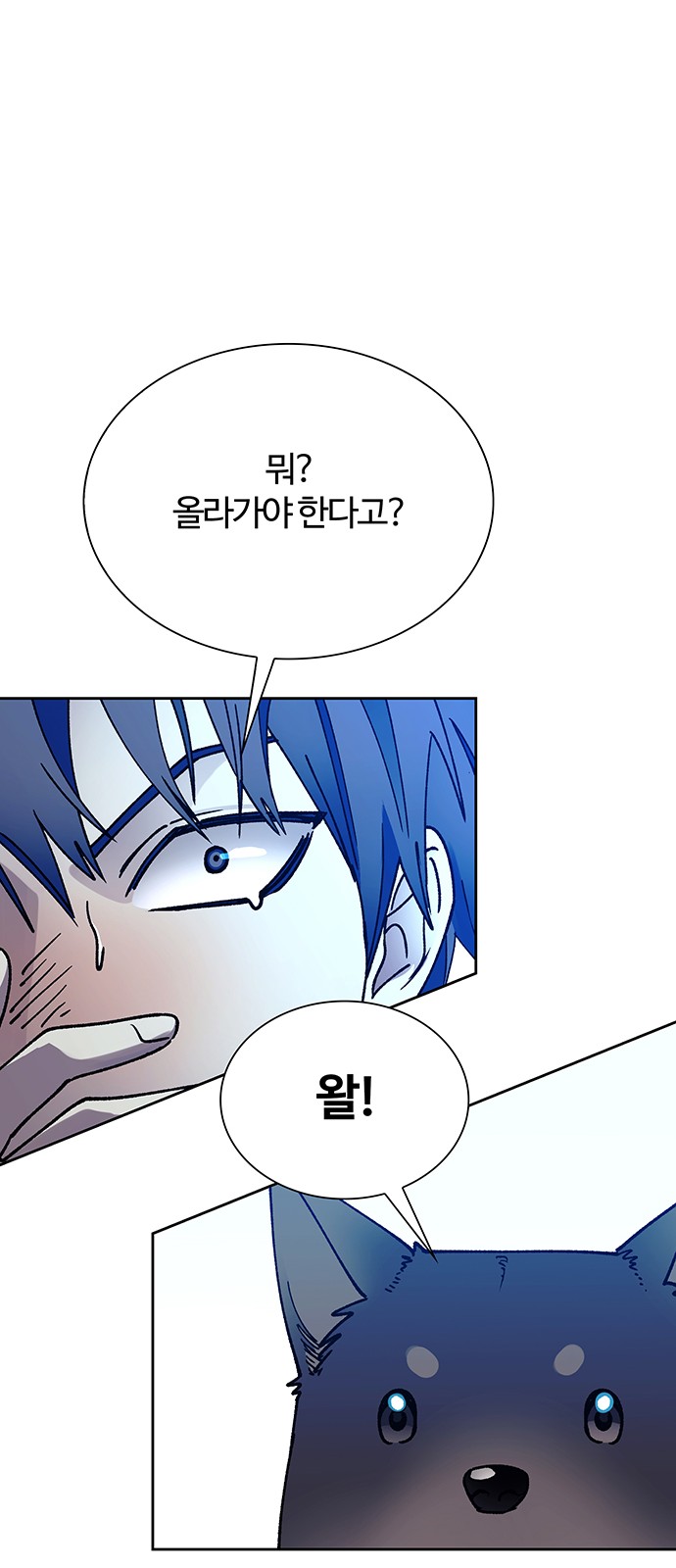66 페이지