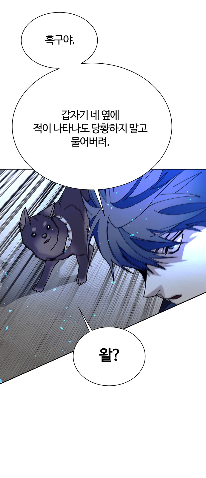 79 페이지