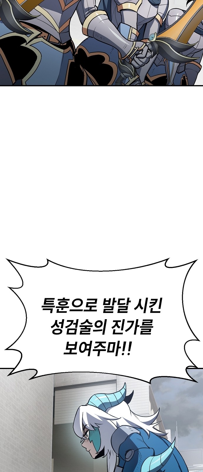 113 페이지
