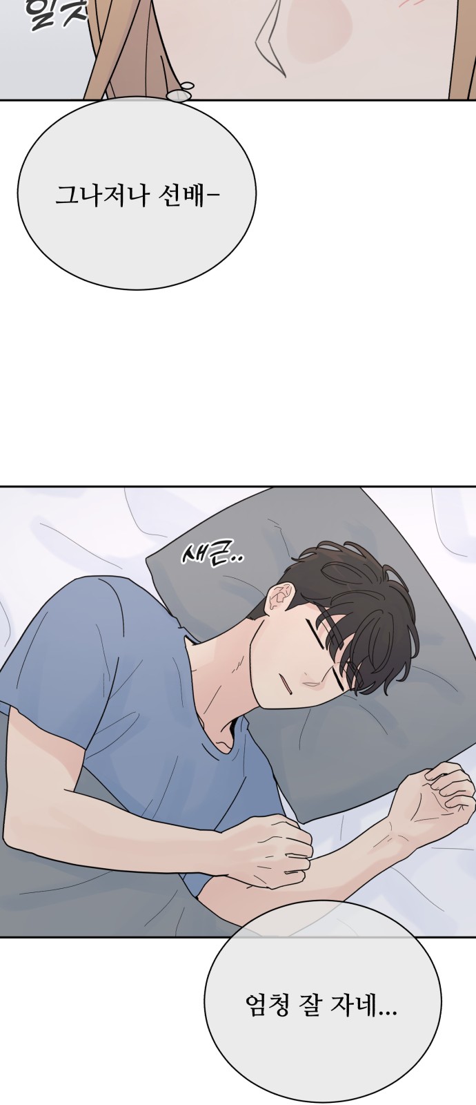 52 페이지