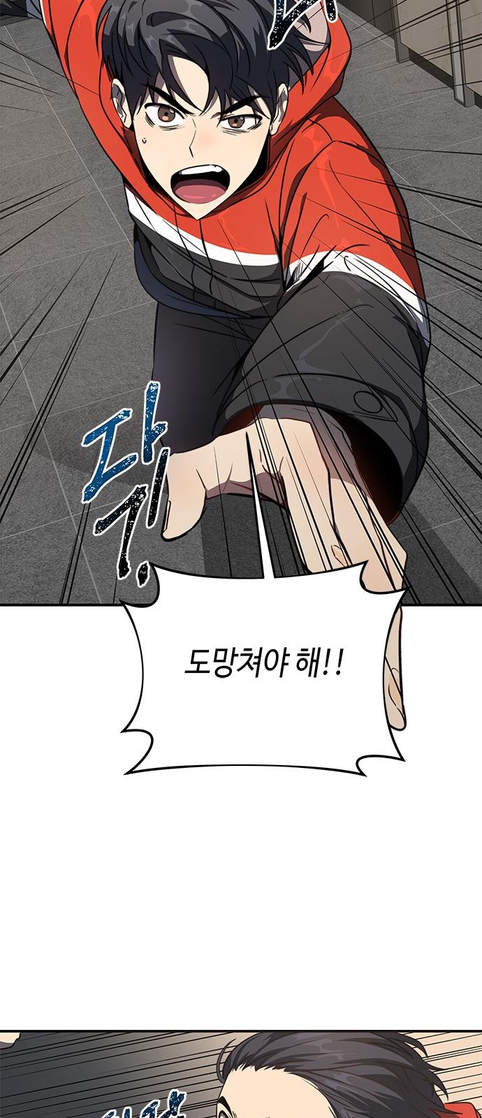 66 페이지