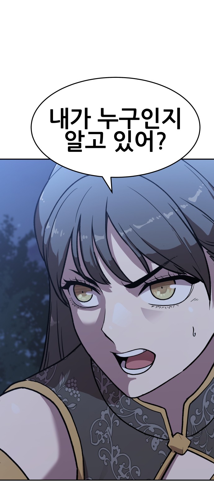 120 페이지