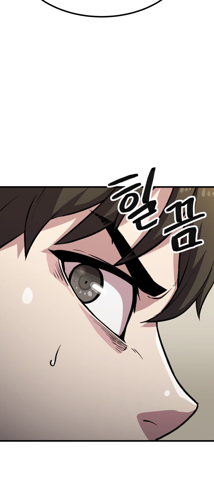68 페이지