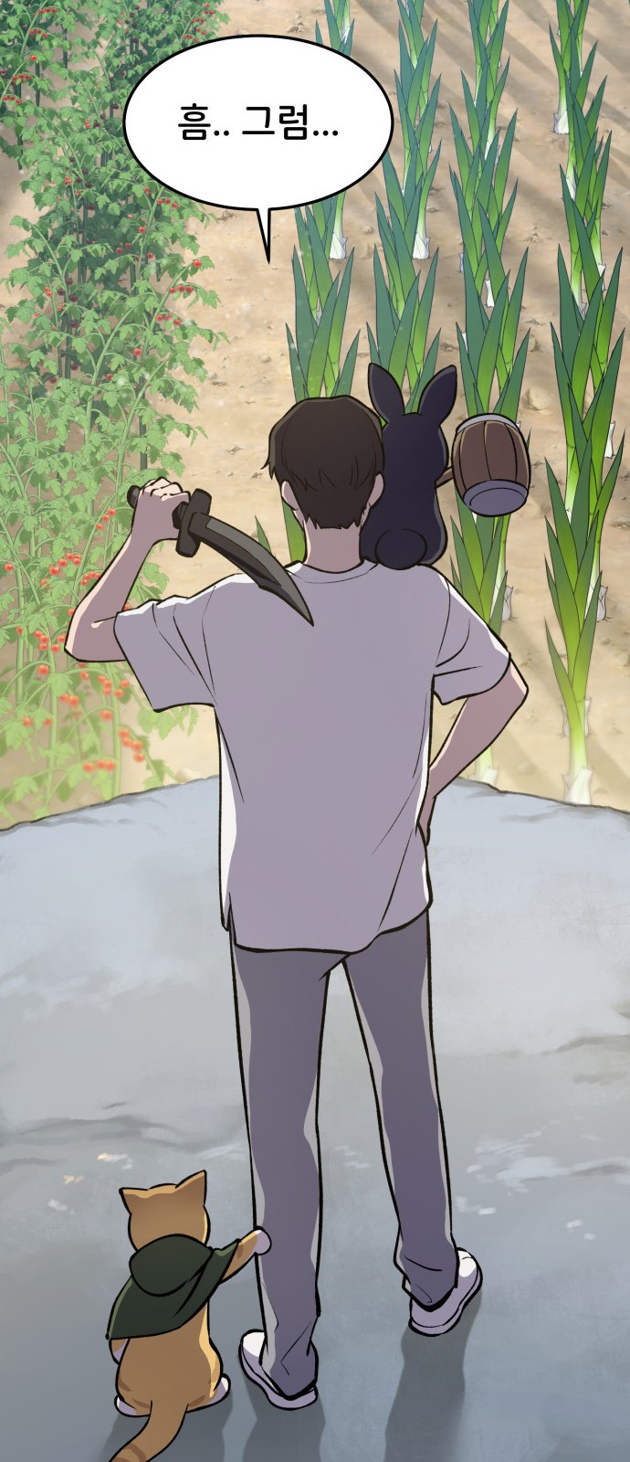 43 페이지