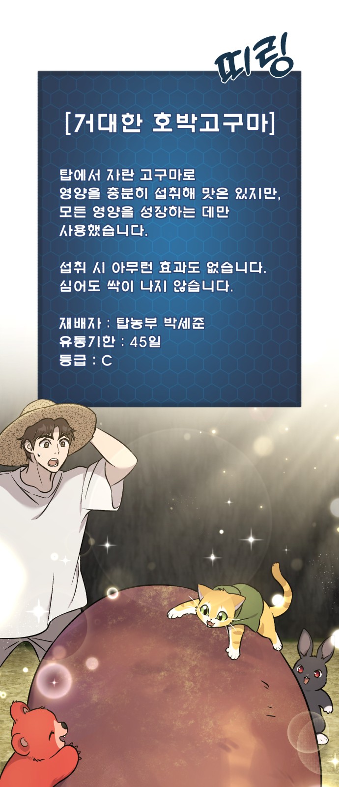 62 페이지