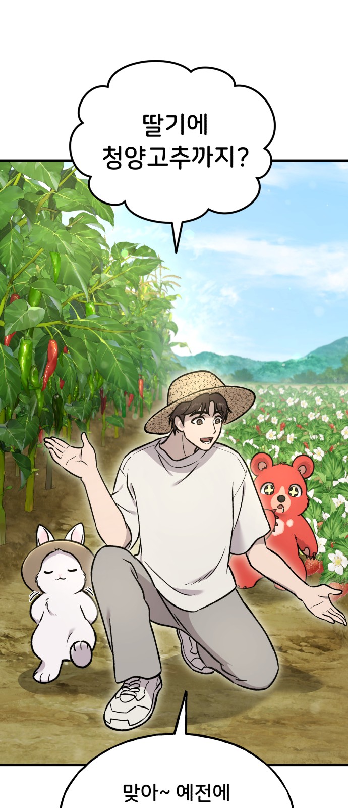 66 페이지