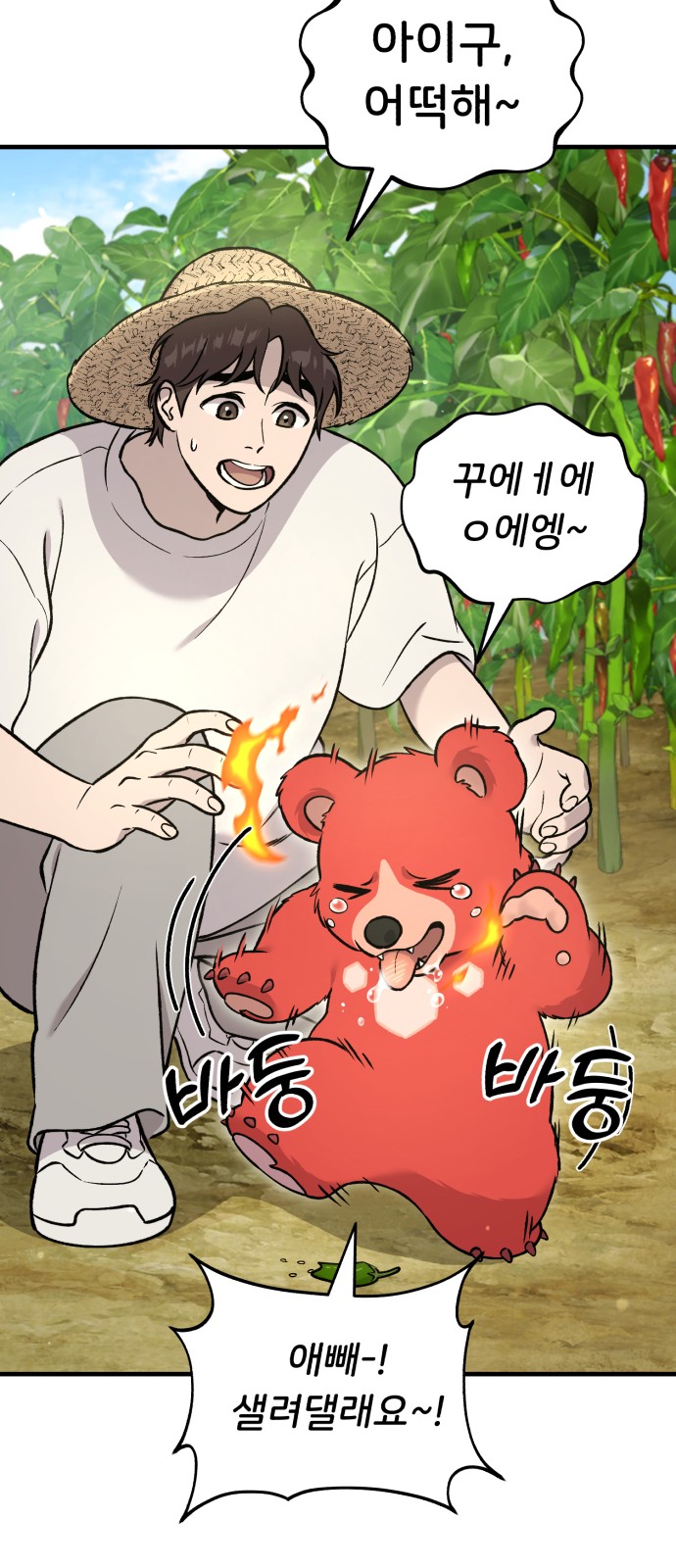 12 페이지