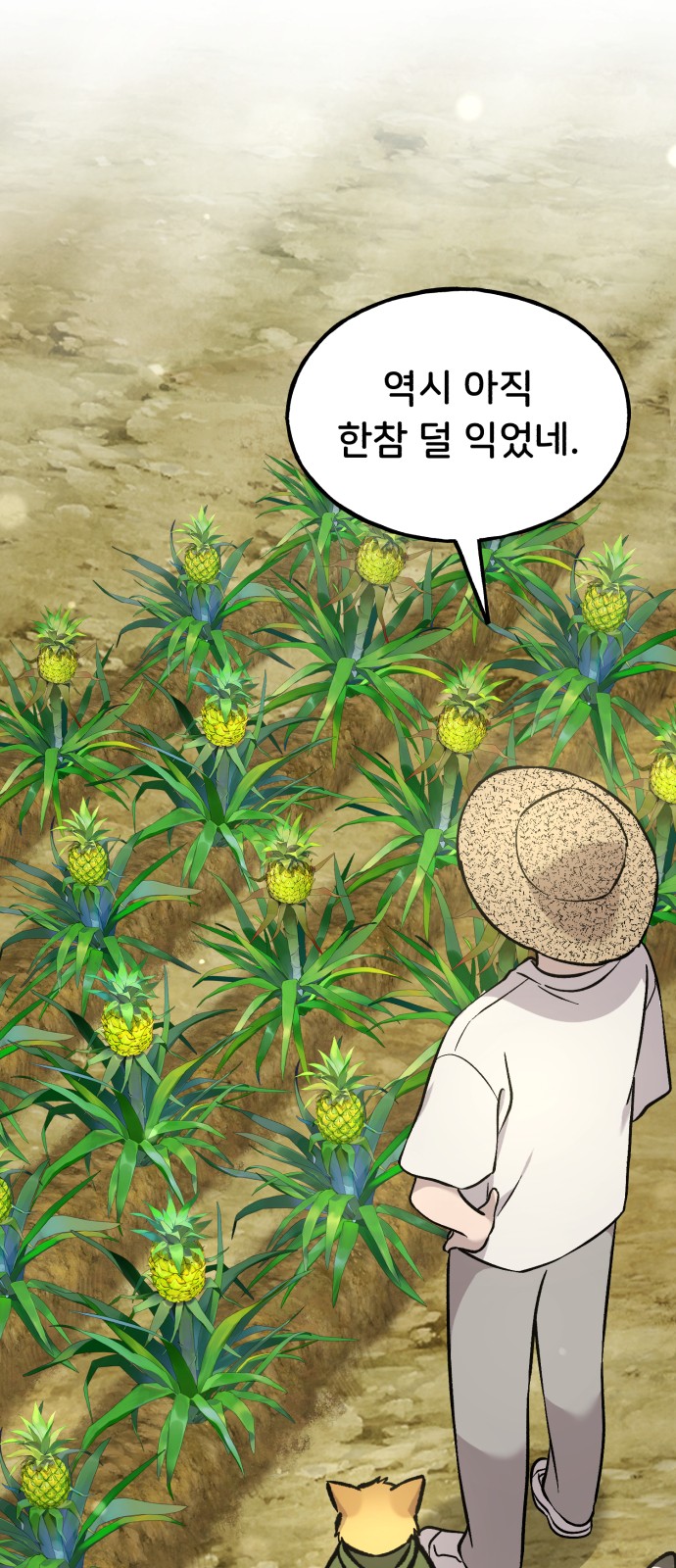 23 페이지