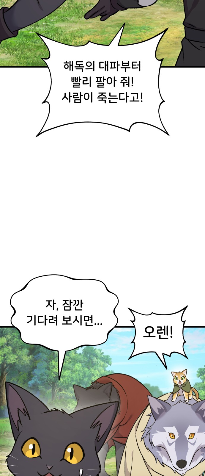 66 페이지
