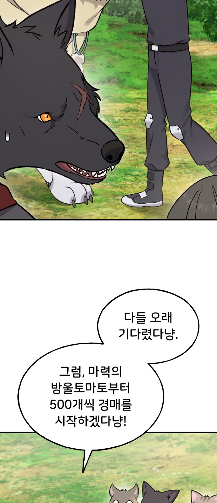 72 페이지