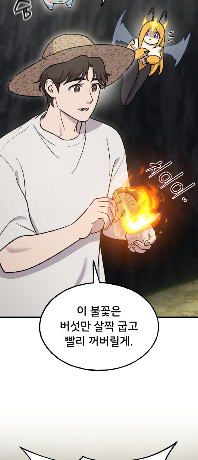 71 페이지