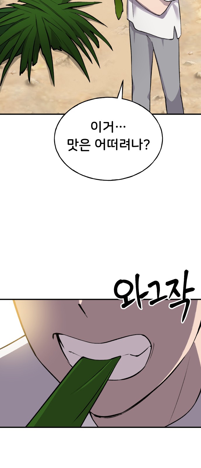 66 페이지