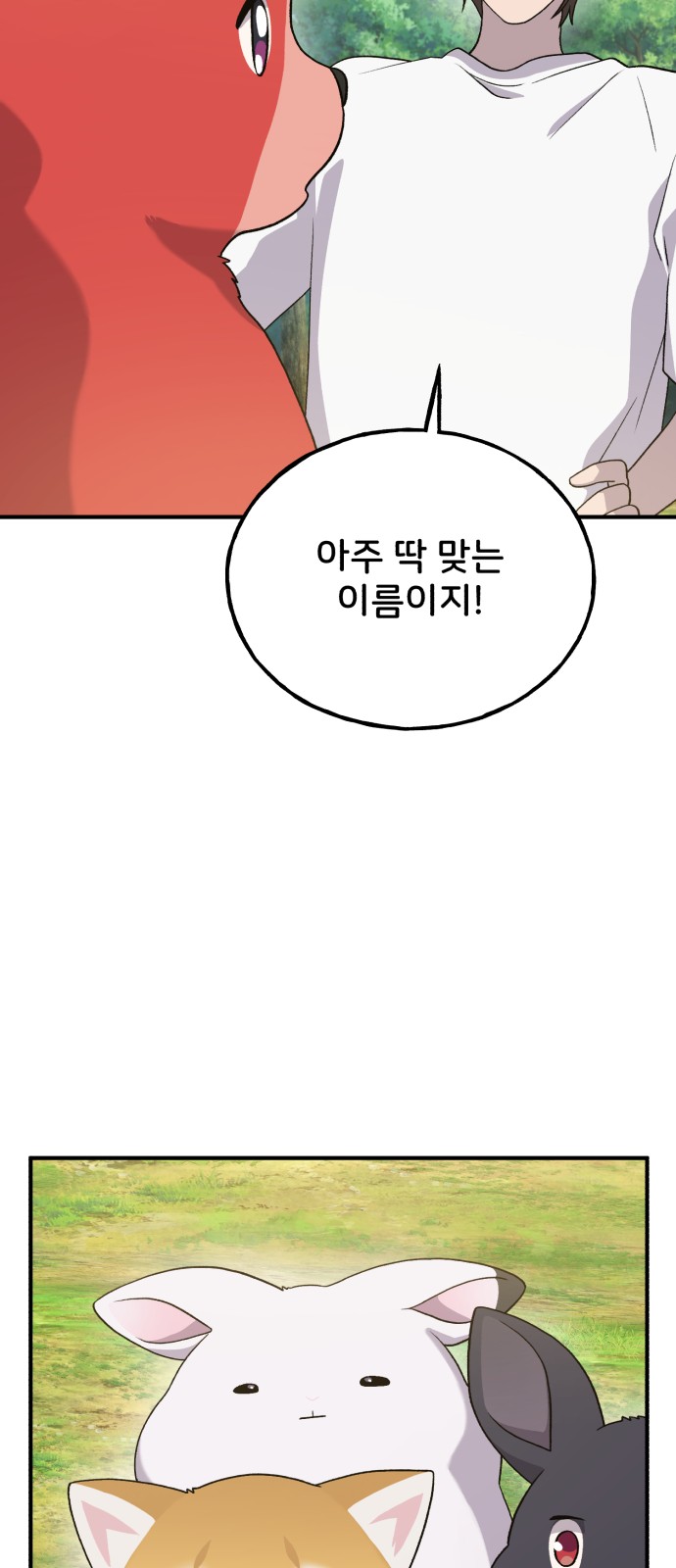 66 페이지