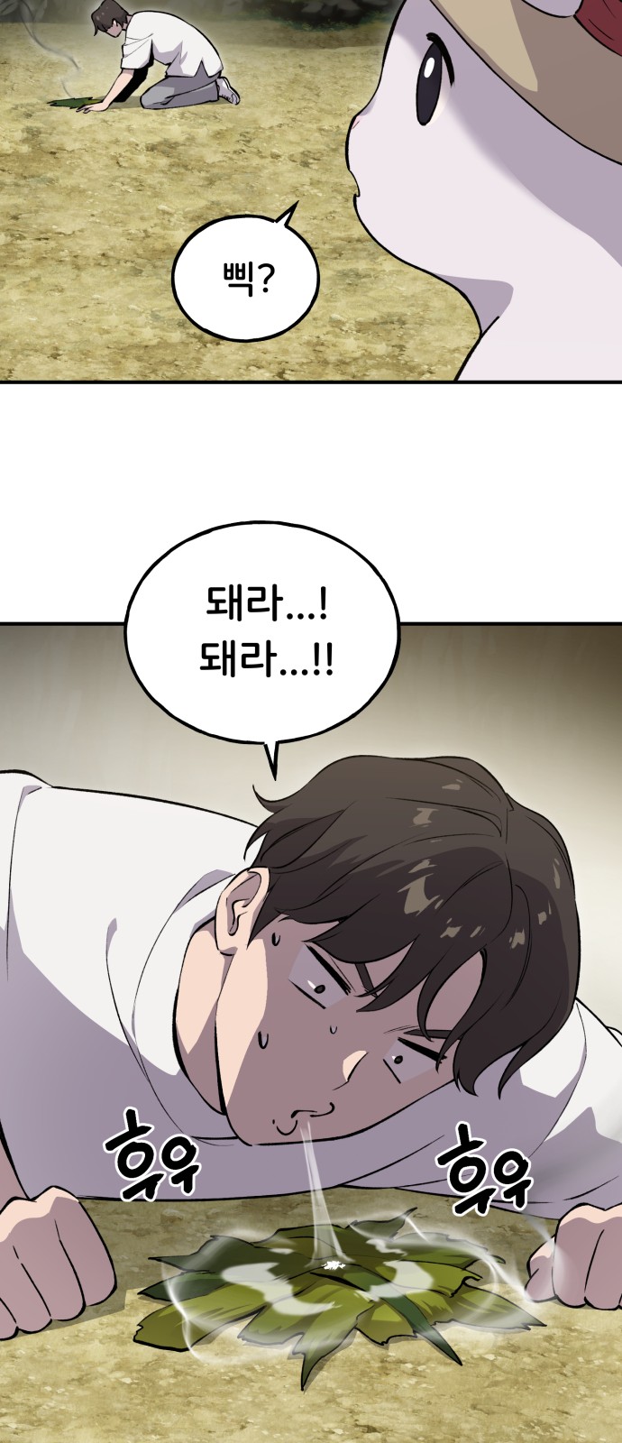 65 페이지