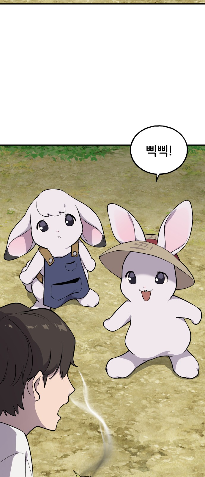 66 페이지