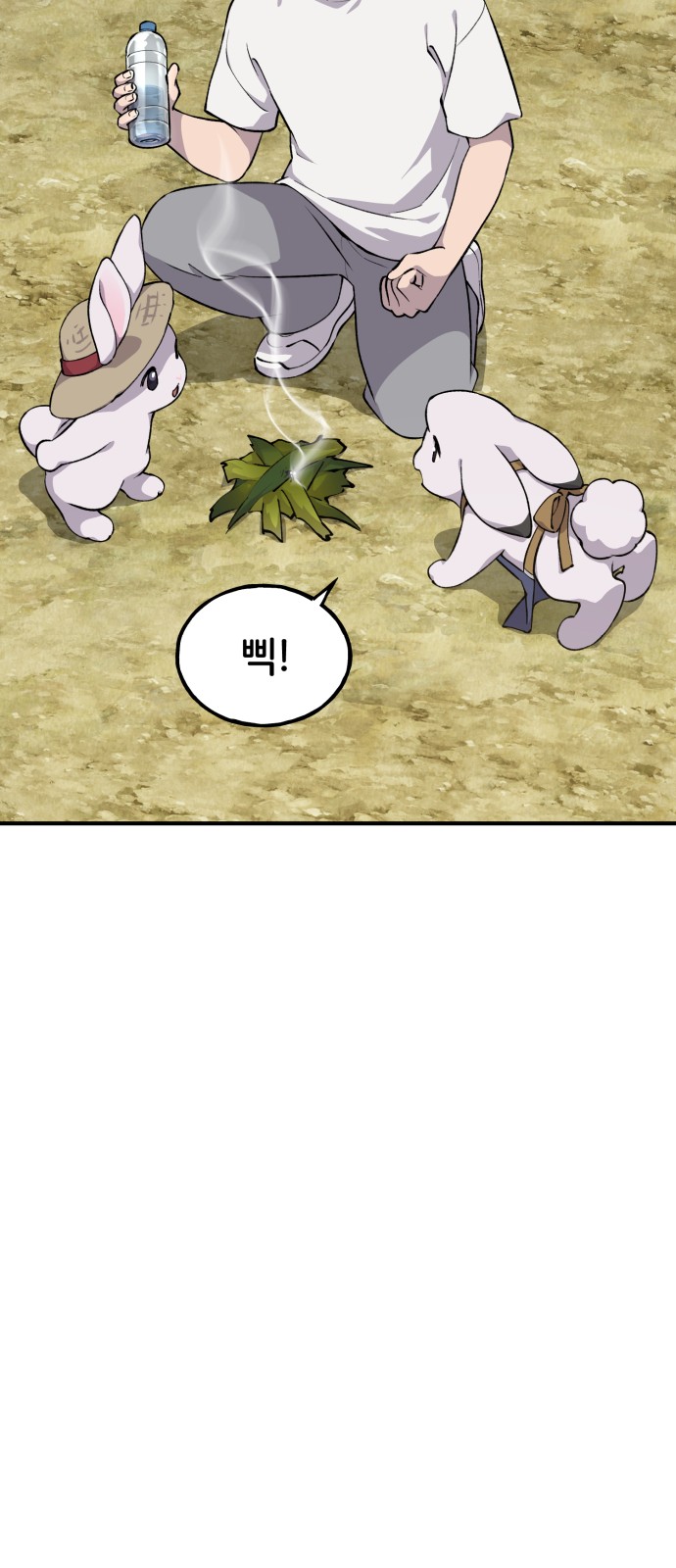 68 페이지