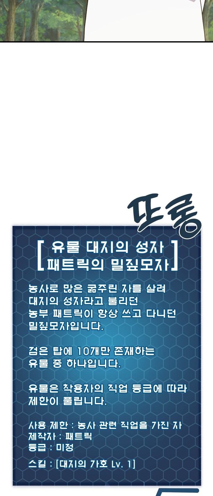 37 페이지