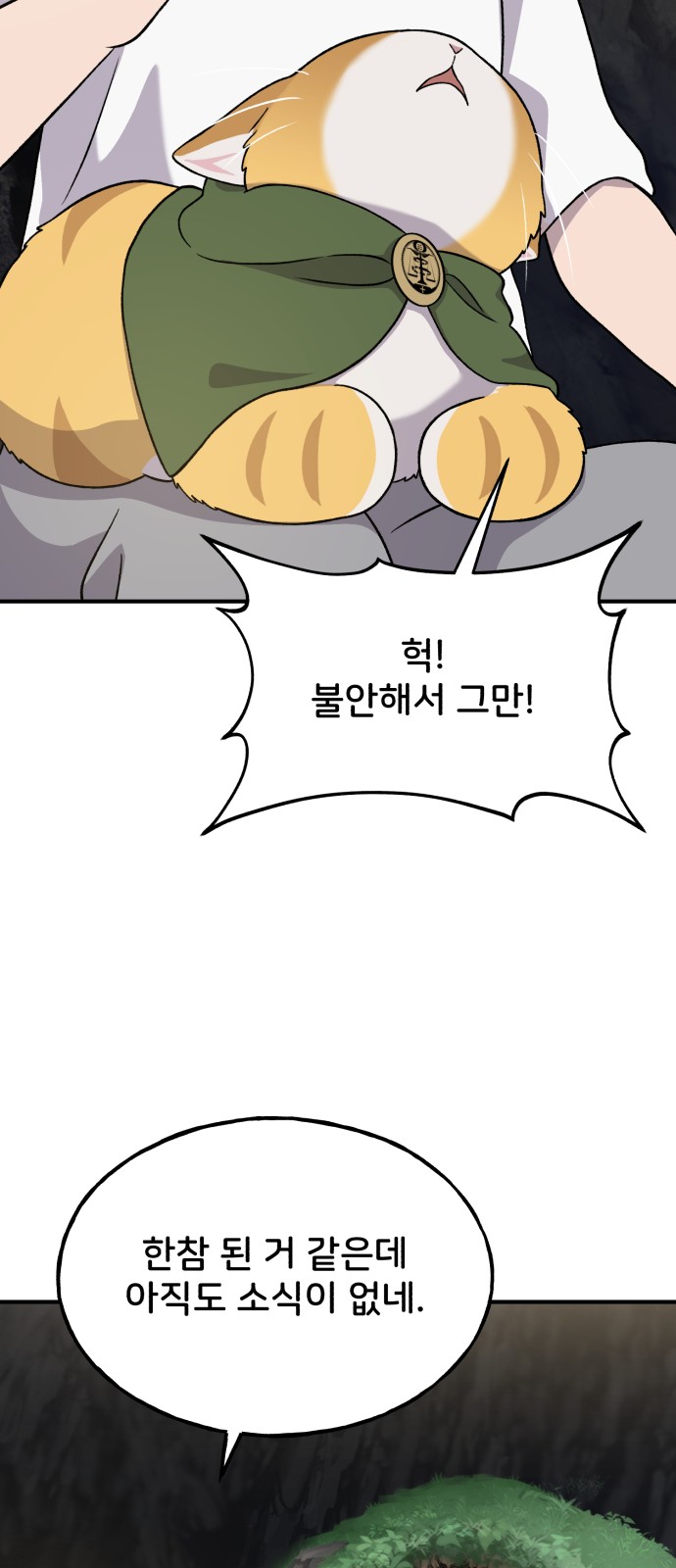 66 페이지