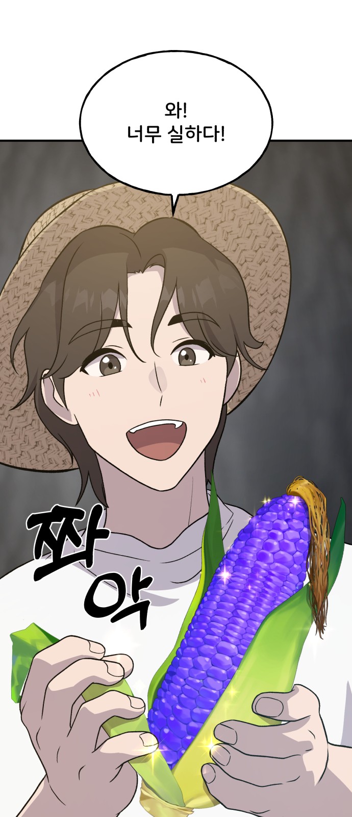81 페이지