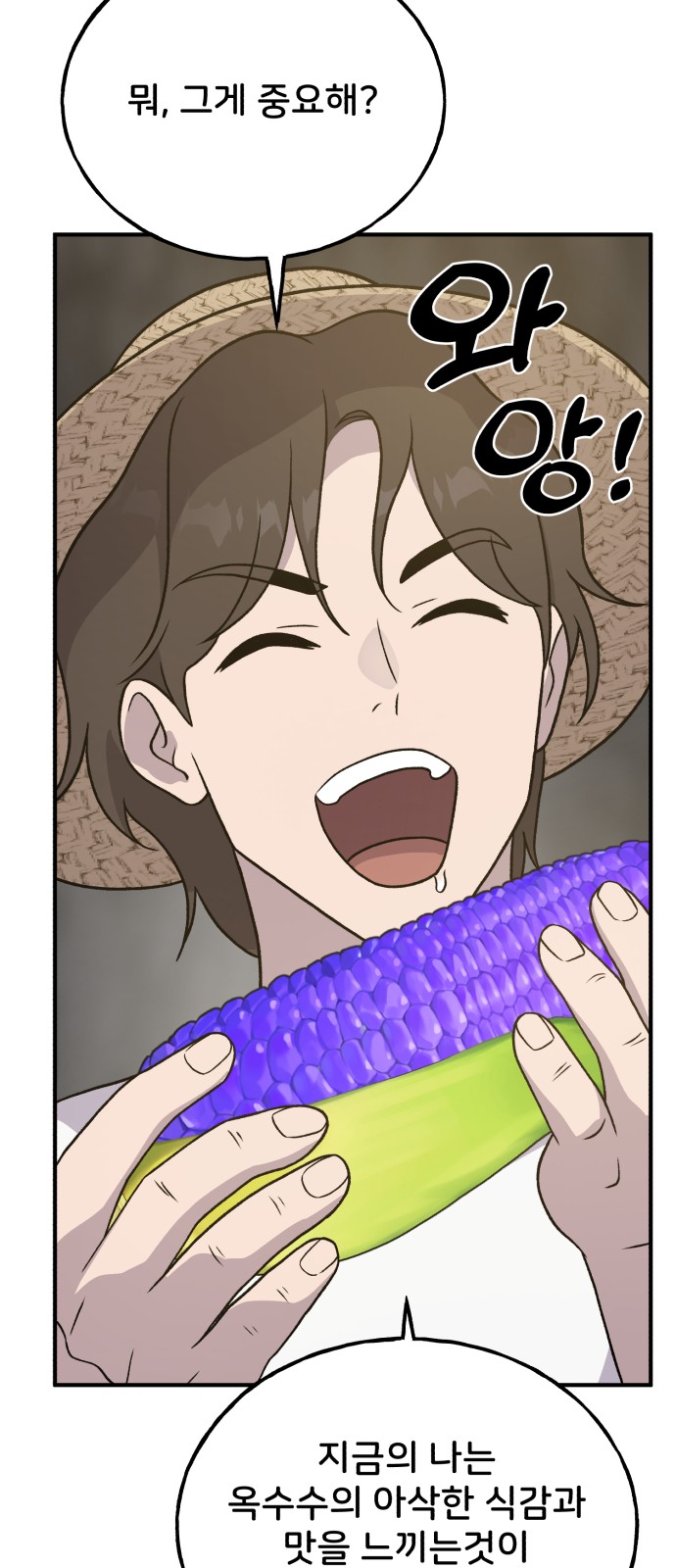 85 페이지