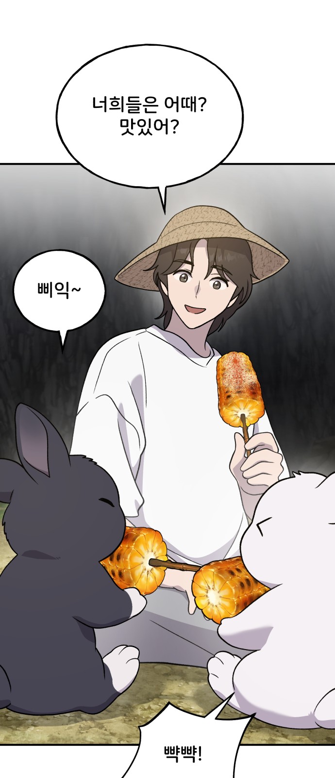 46 페이지