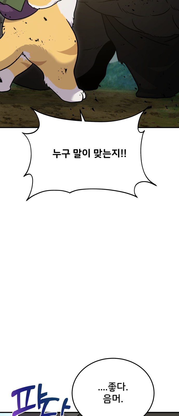 68 페이지