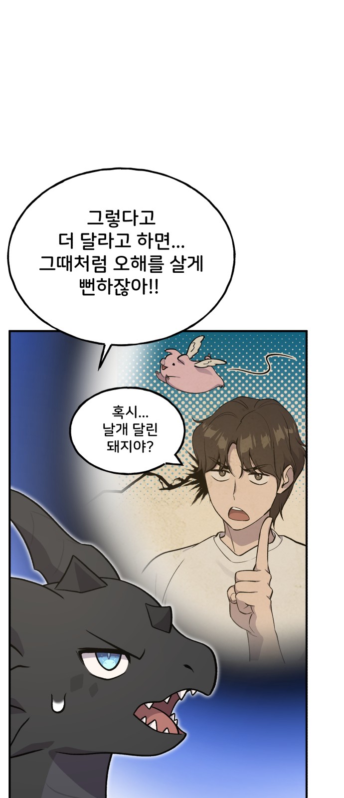 113 페이지