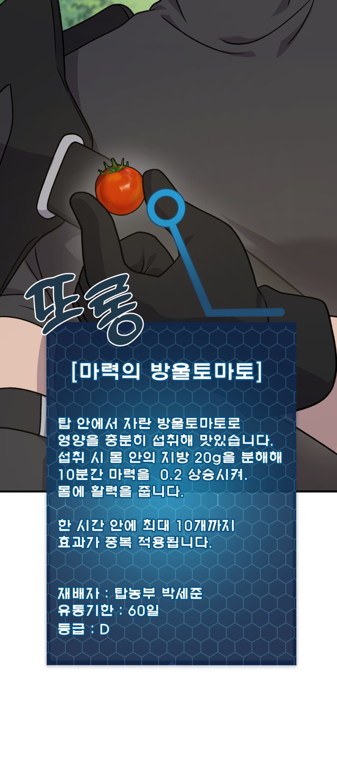 62 페이지