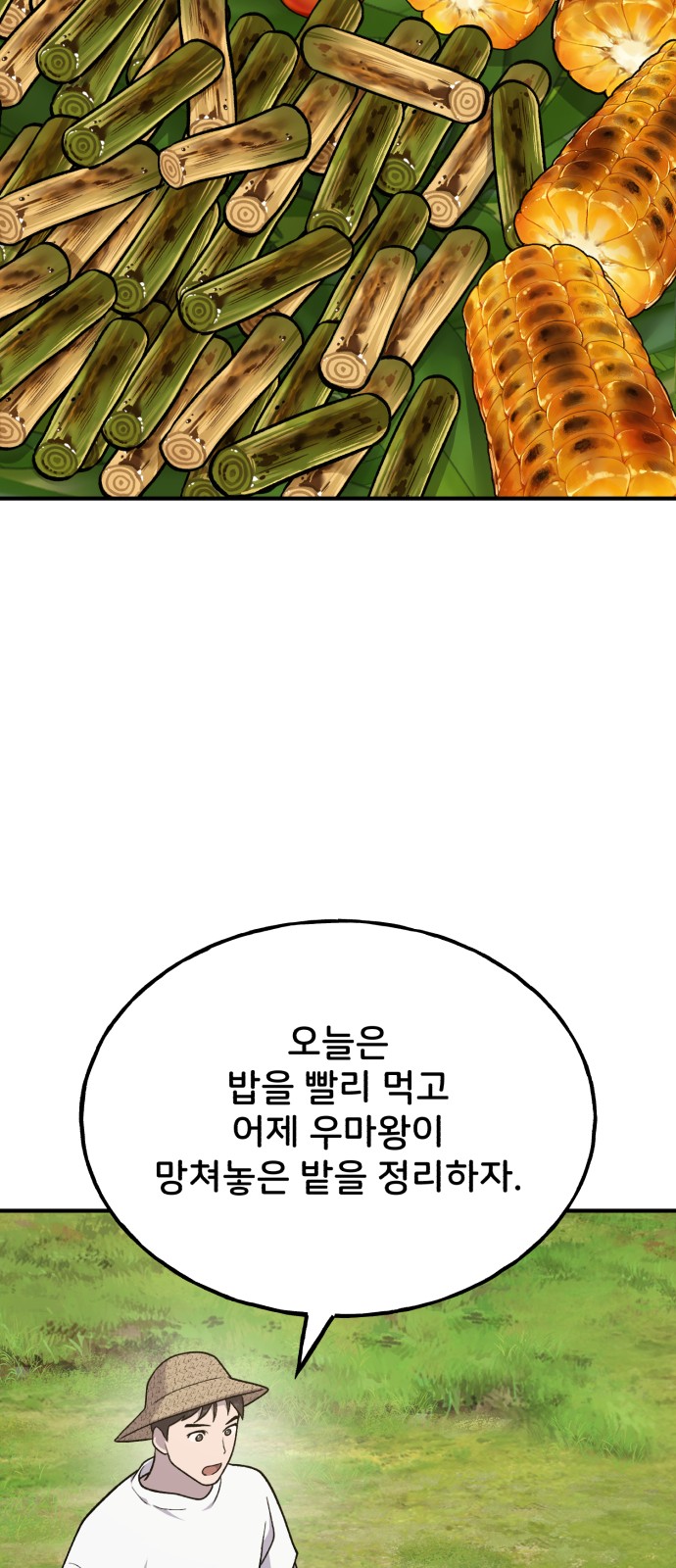 71 페이지