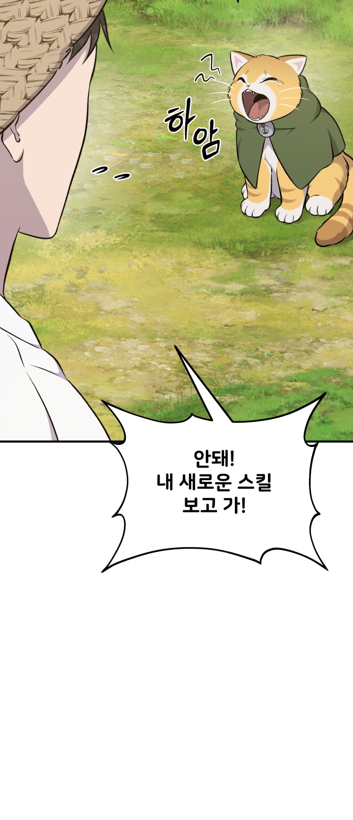 75 페이지