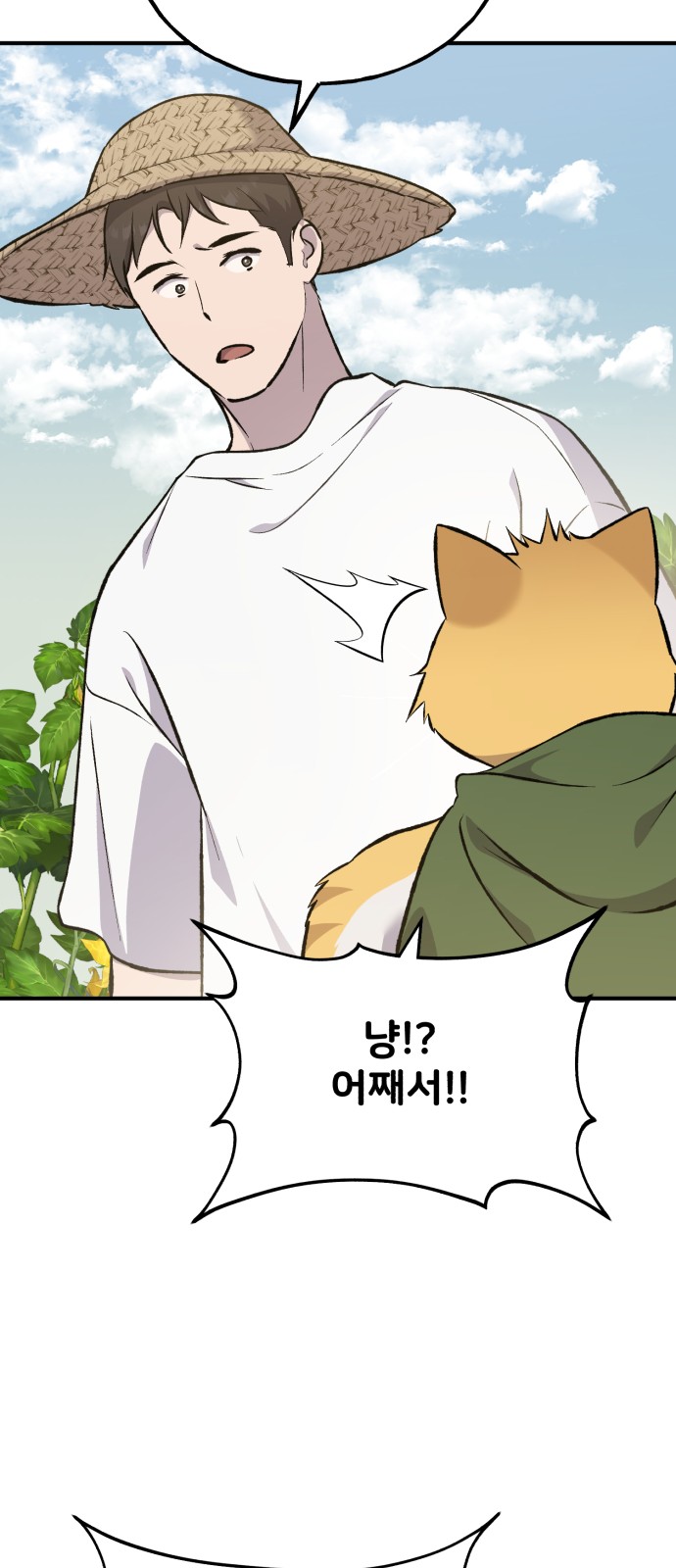 86 페이지