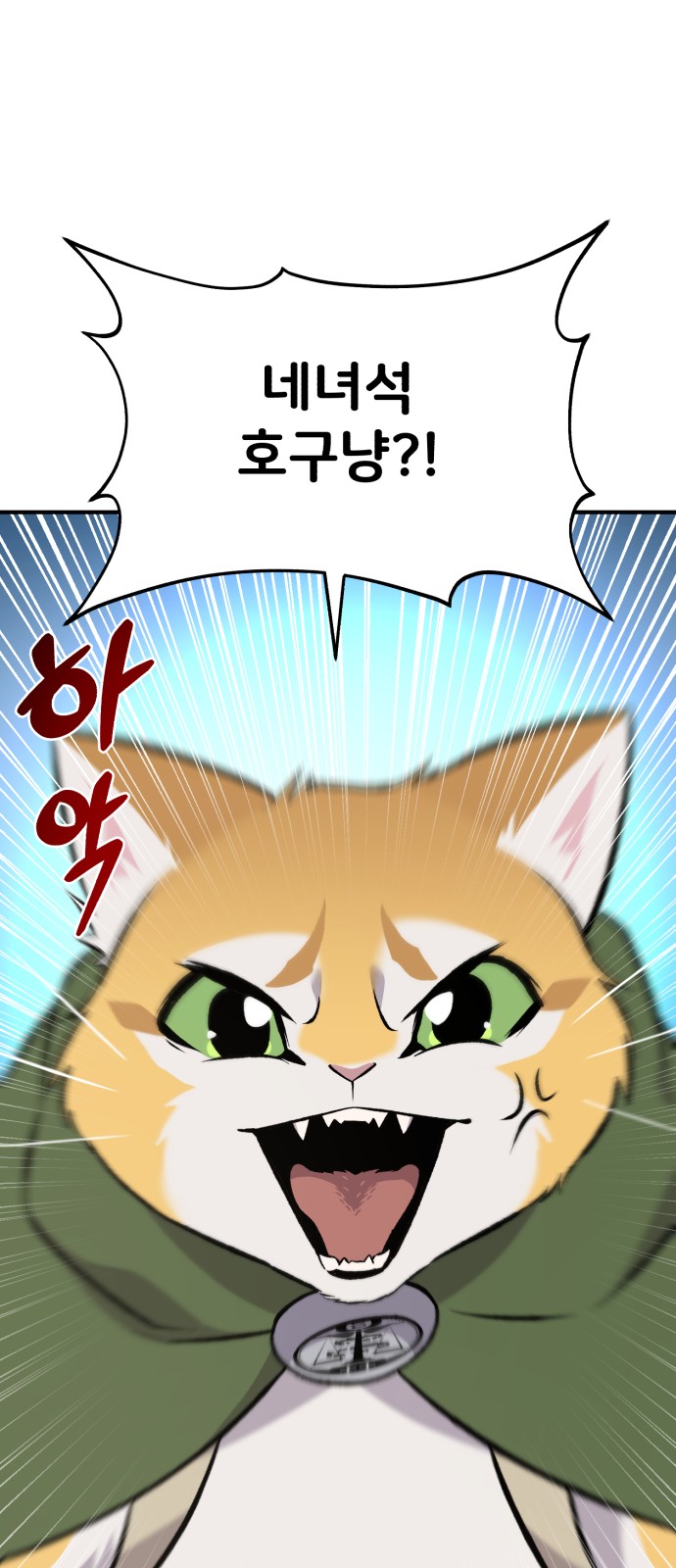 100 페이지