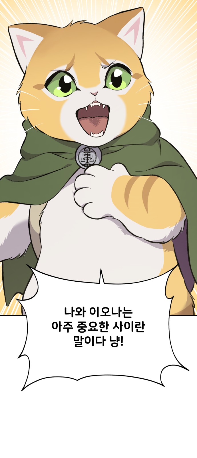 110 페이지