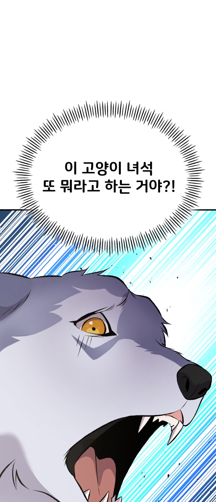 113 페이지