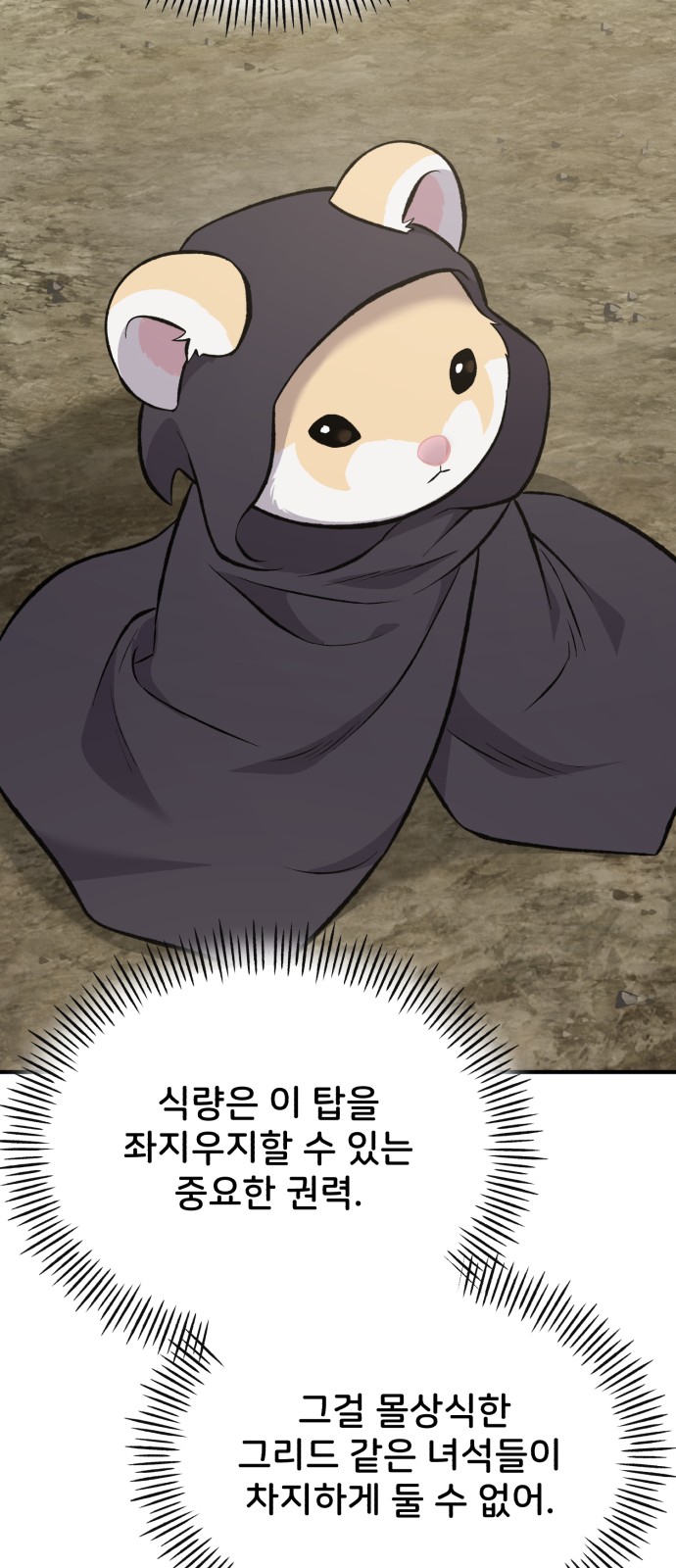 51 페이지