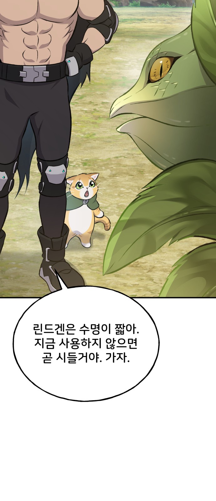 60 페이지