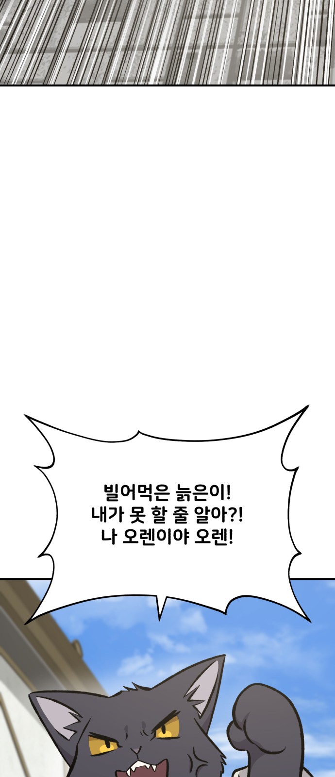 110 페이지