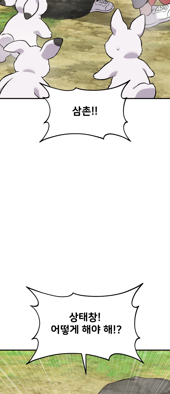 77 페이지