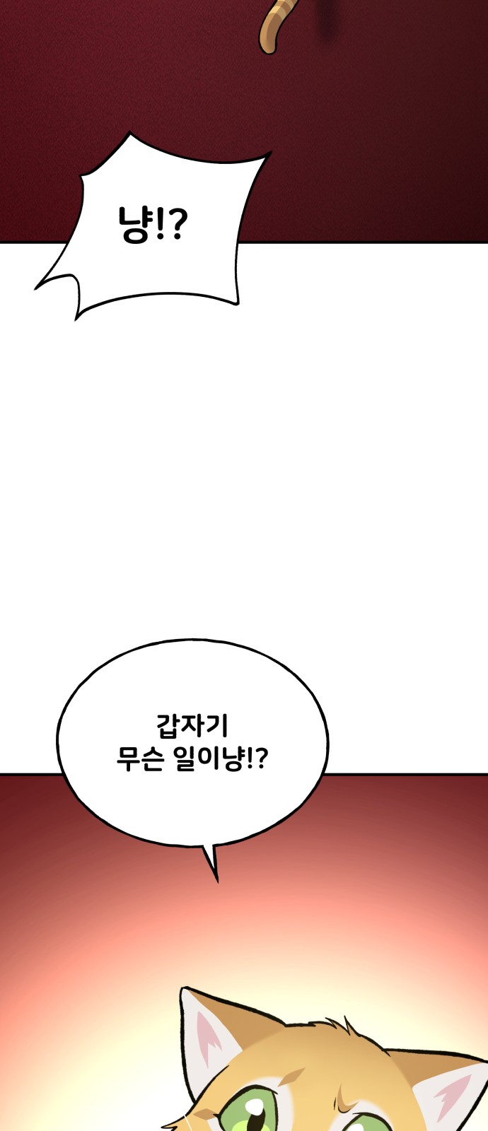 104 페이지