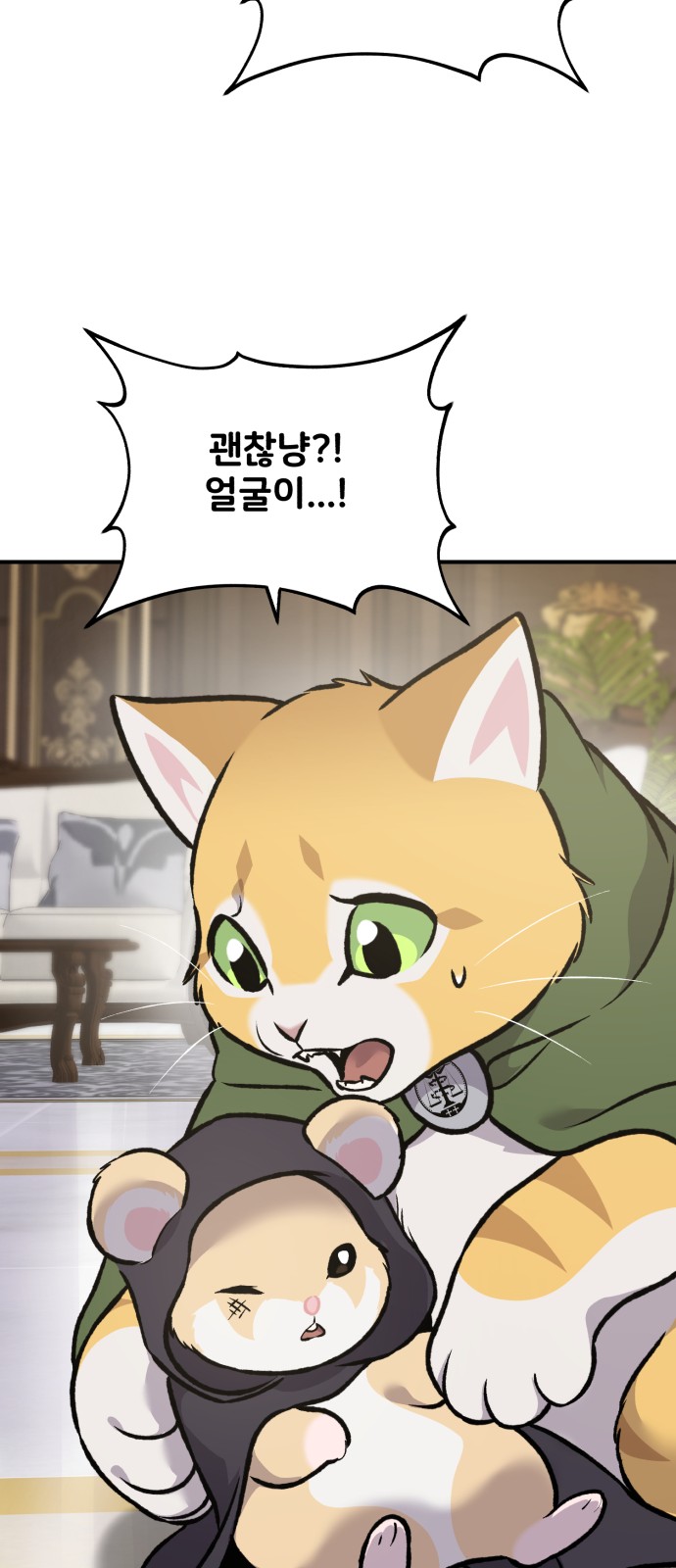 113 페이지