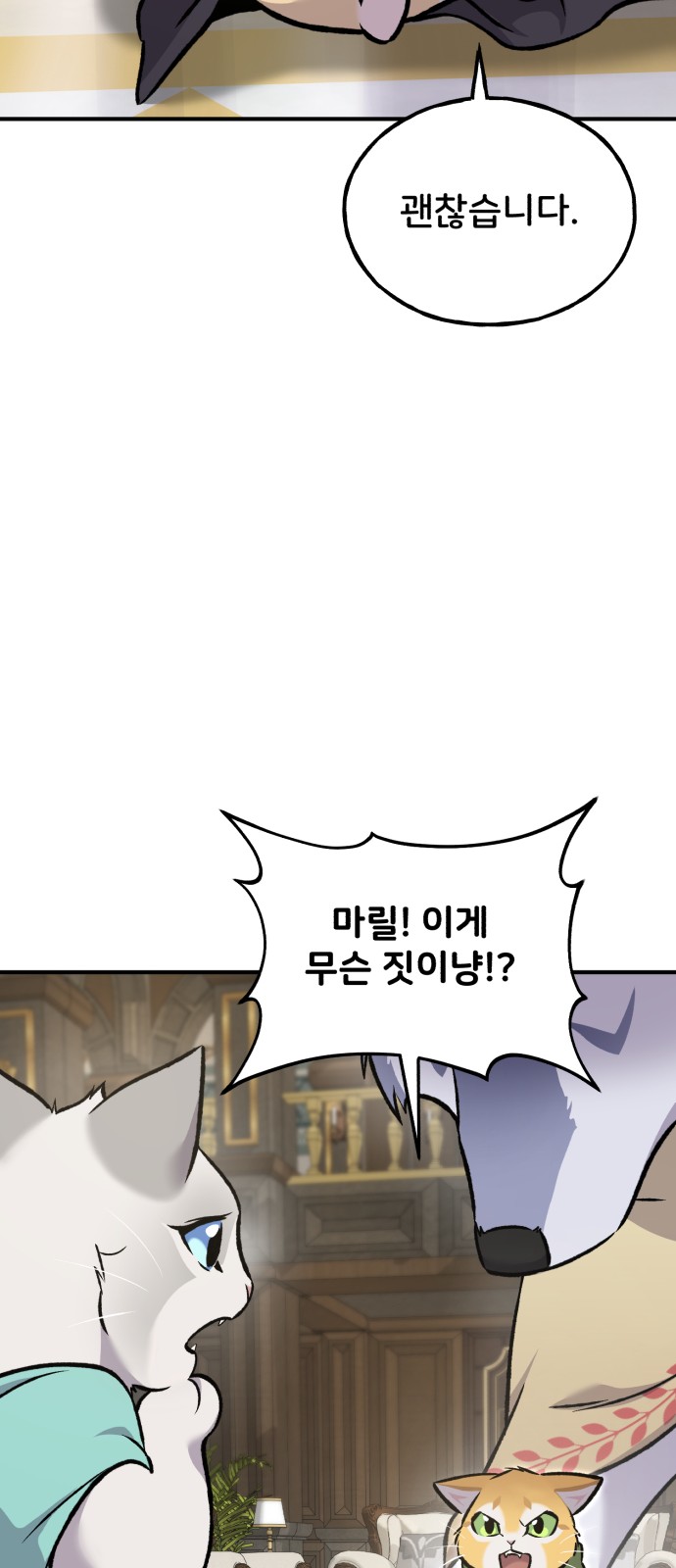 114 페이지