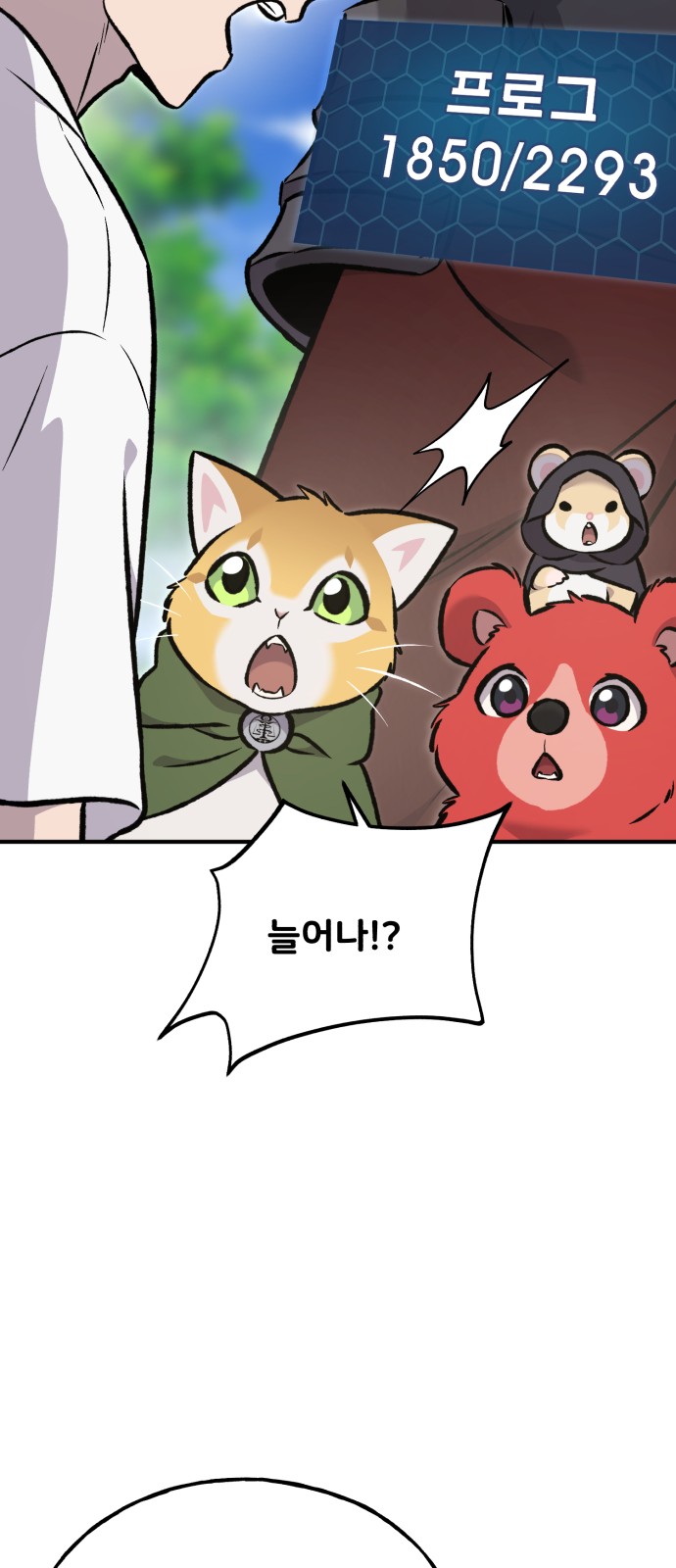 11 페이지