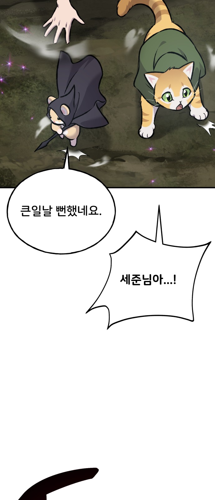 113 페이지